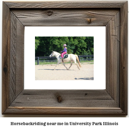 horseback riding near me in University Park, Illinois